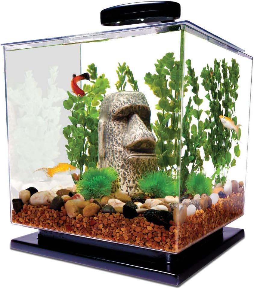 Tetra Cube 3 Gallon Starter Fish Tank Kit | Aquarium Kit Includes LEDs, 3 Gallon Acrylic Tank, Filter & Cartridge, For Small Tropical Fish, Guppies, Goldfish, or Betta